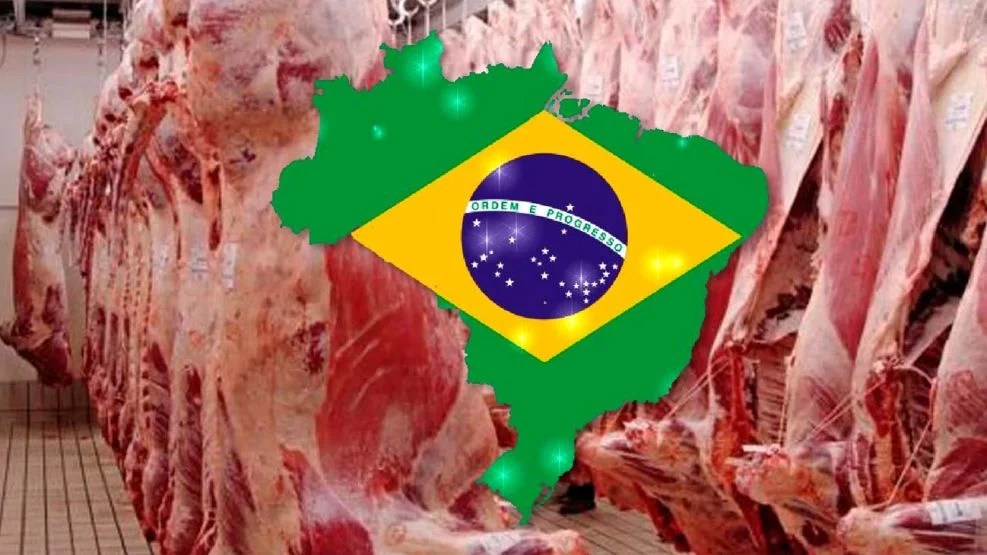 La Unión Europea suspende las importaciones de carne de Brasil por motivos sanitarios